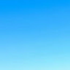 Meet your Posher, Ella